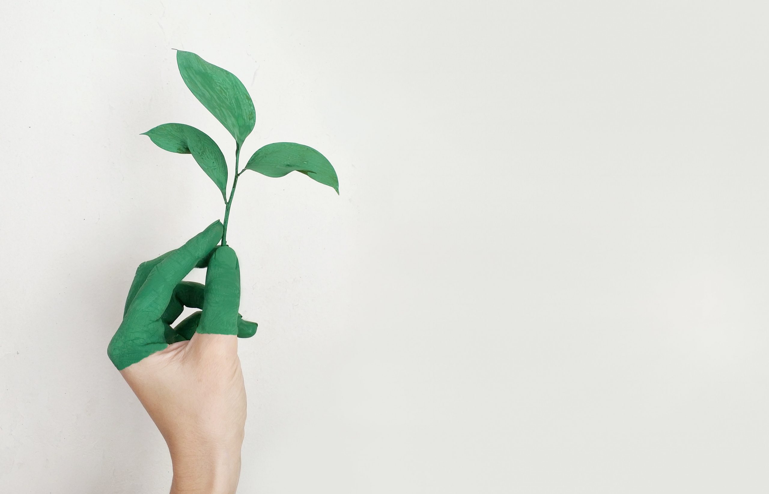 Que savoir sur la peinture écologique ?